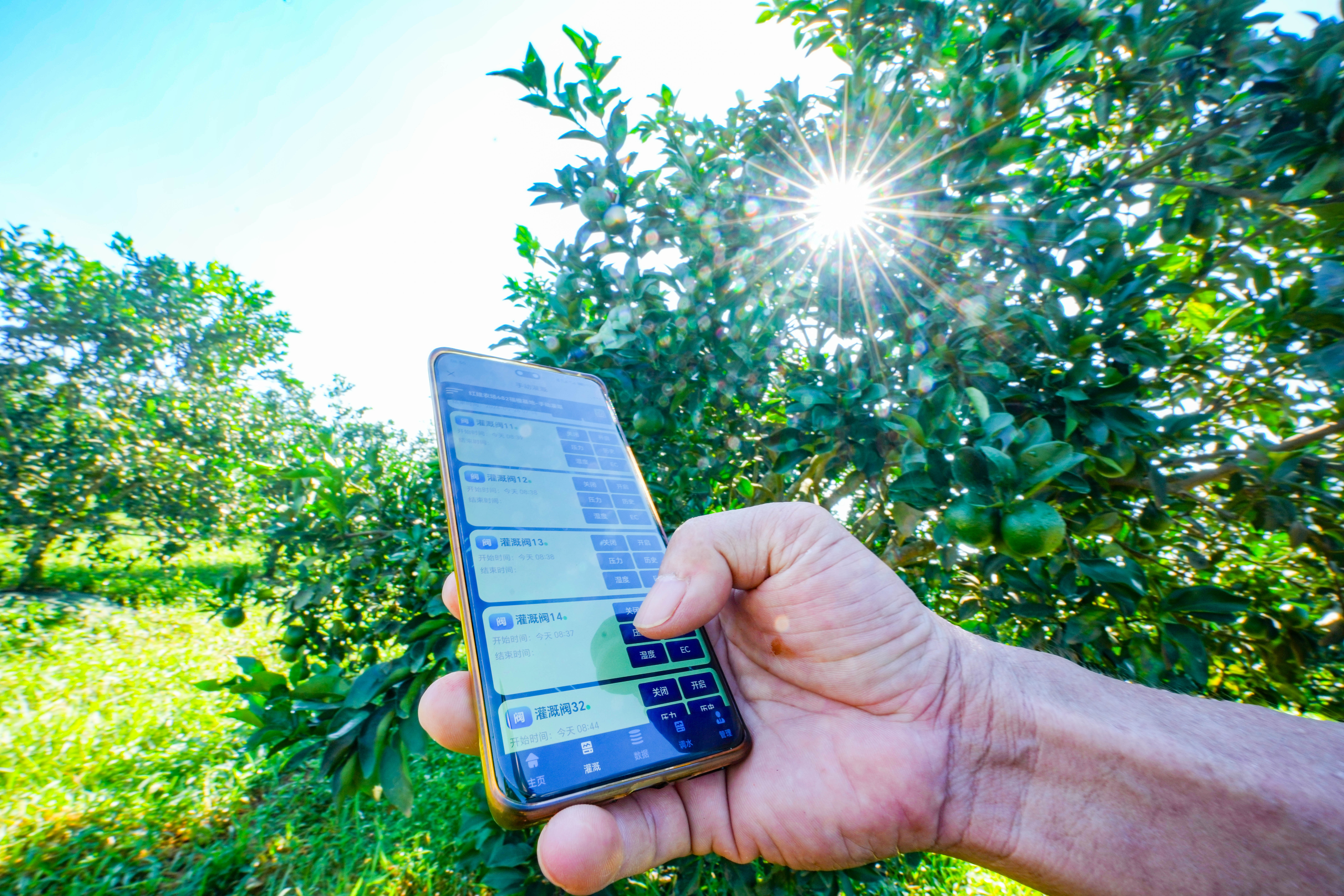 1721177958224085567.jpg 1721177958224085567.jpg