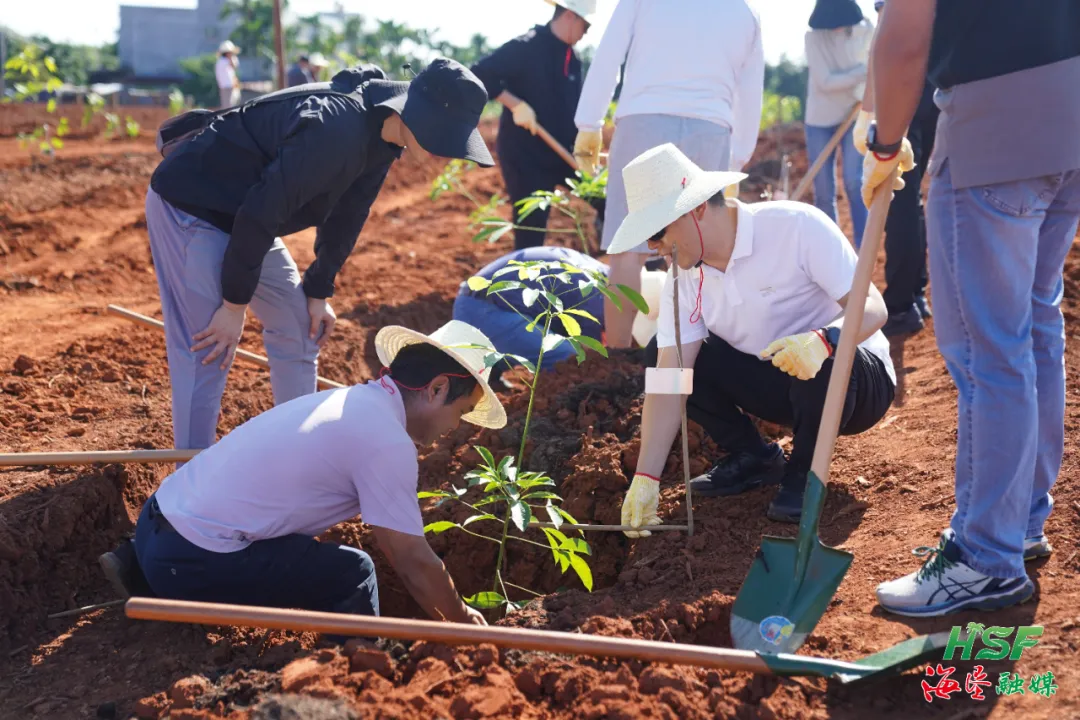 1722993414713068822.jpg 1722993414713068822.jpg