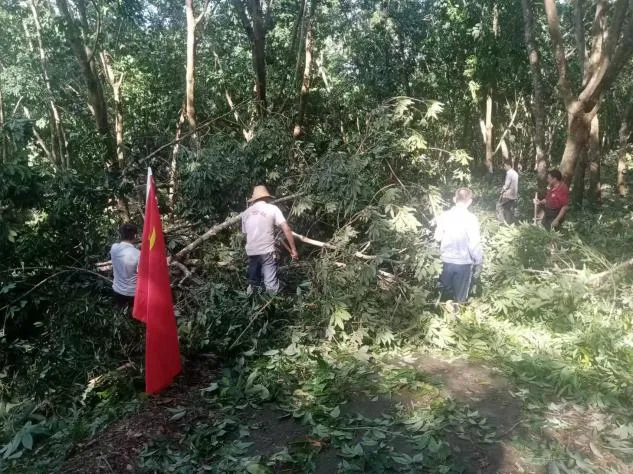 1726059173414014748.jpg 1726059173414014748.jpg