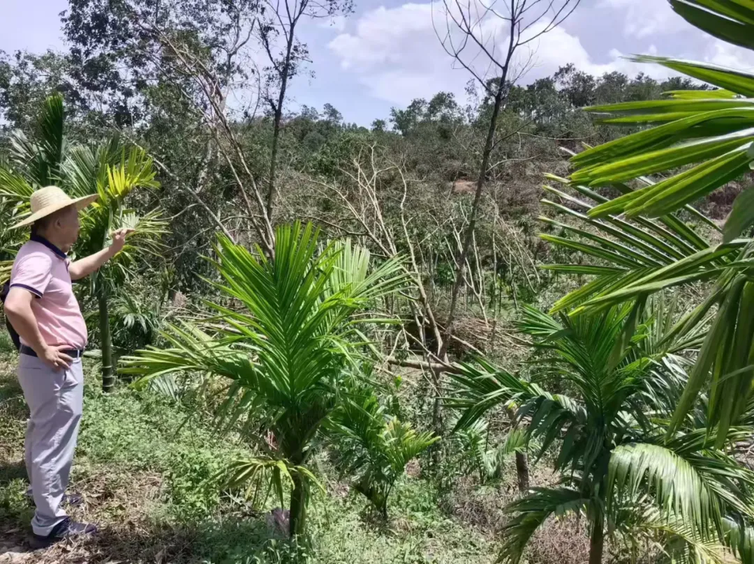 1726196378357081715.jpg 1726196378357081715.jpg