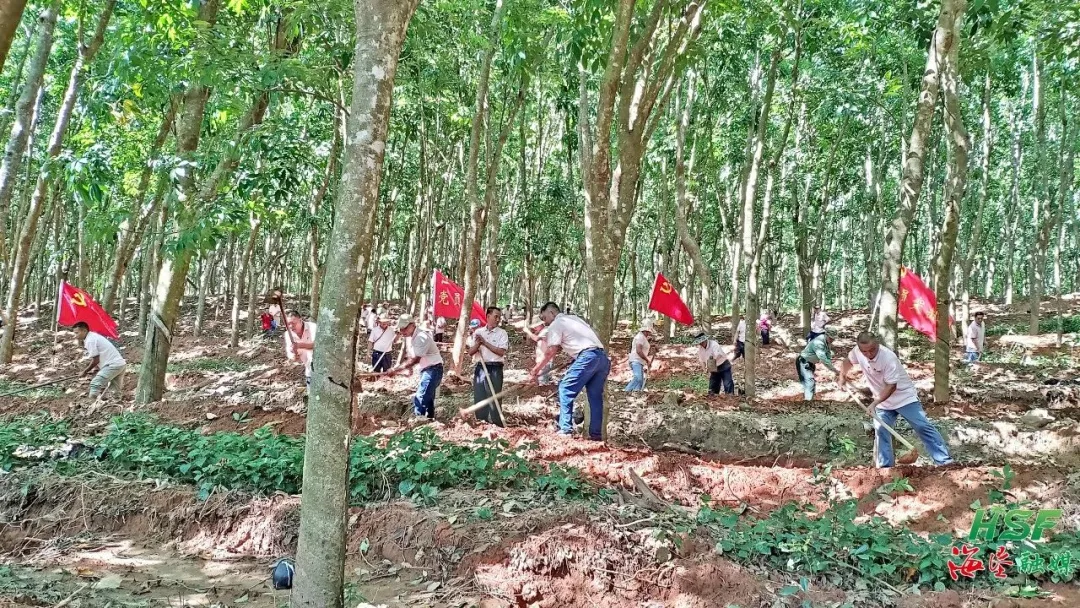 1742698970331055269.jpg 1742698970331055269.jpg