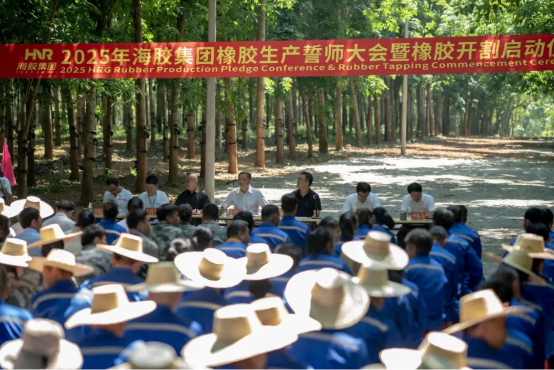 1745454888565023786.jpg 1745454888565023786.jpg