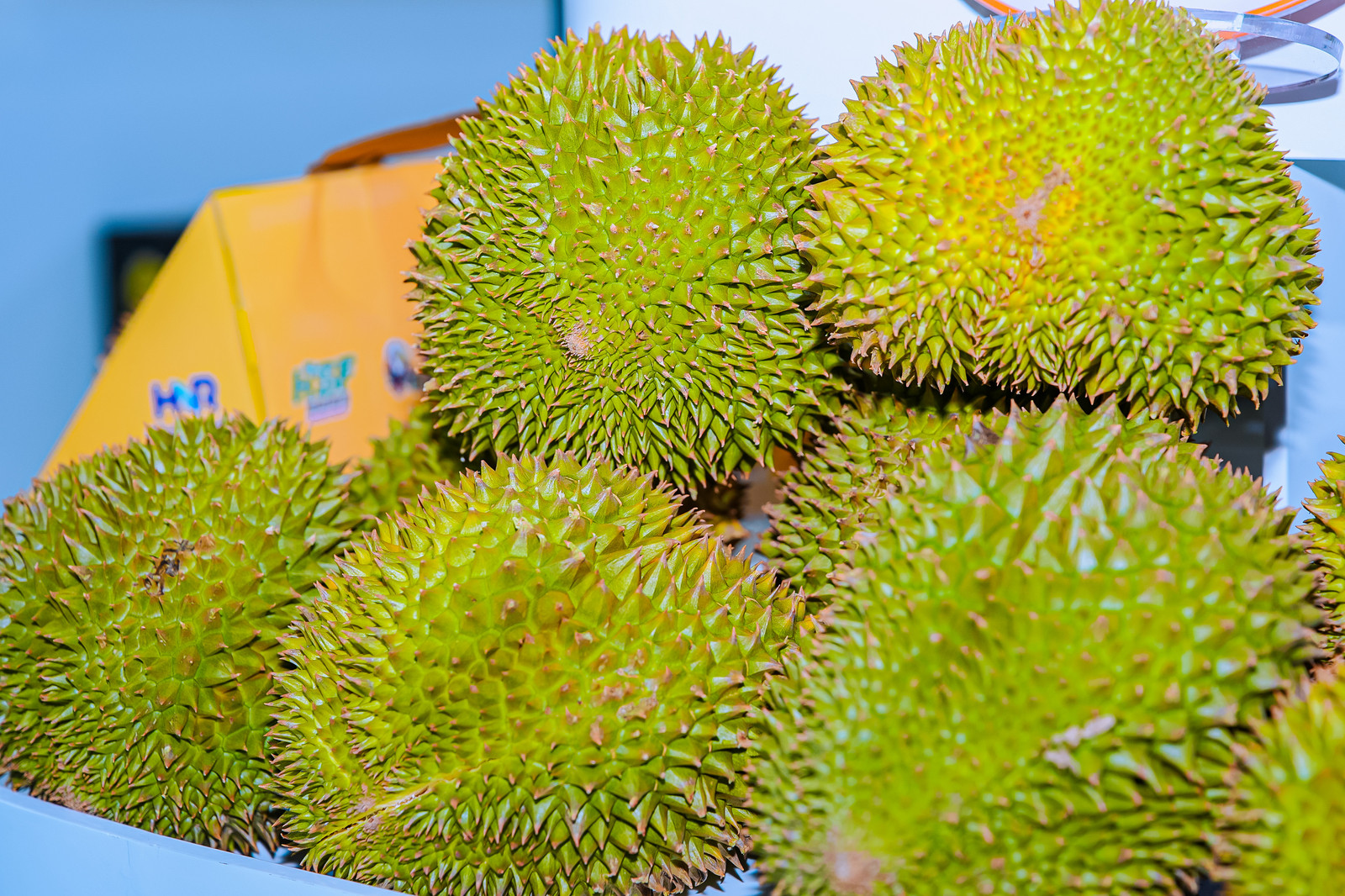 臻品果業(yè)榴蓮