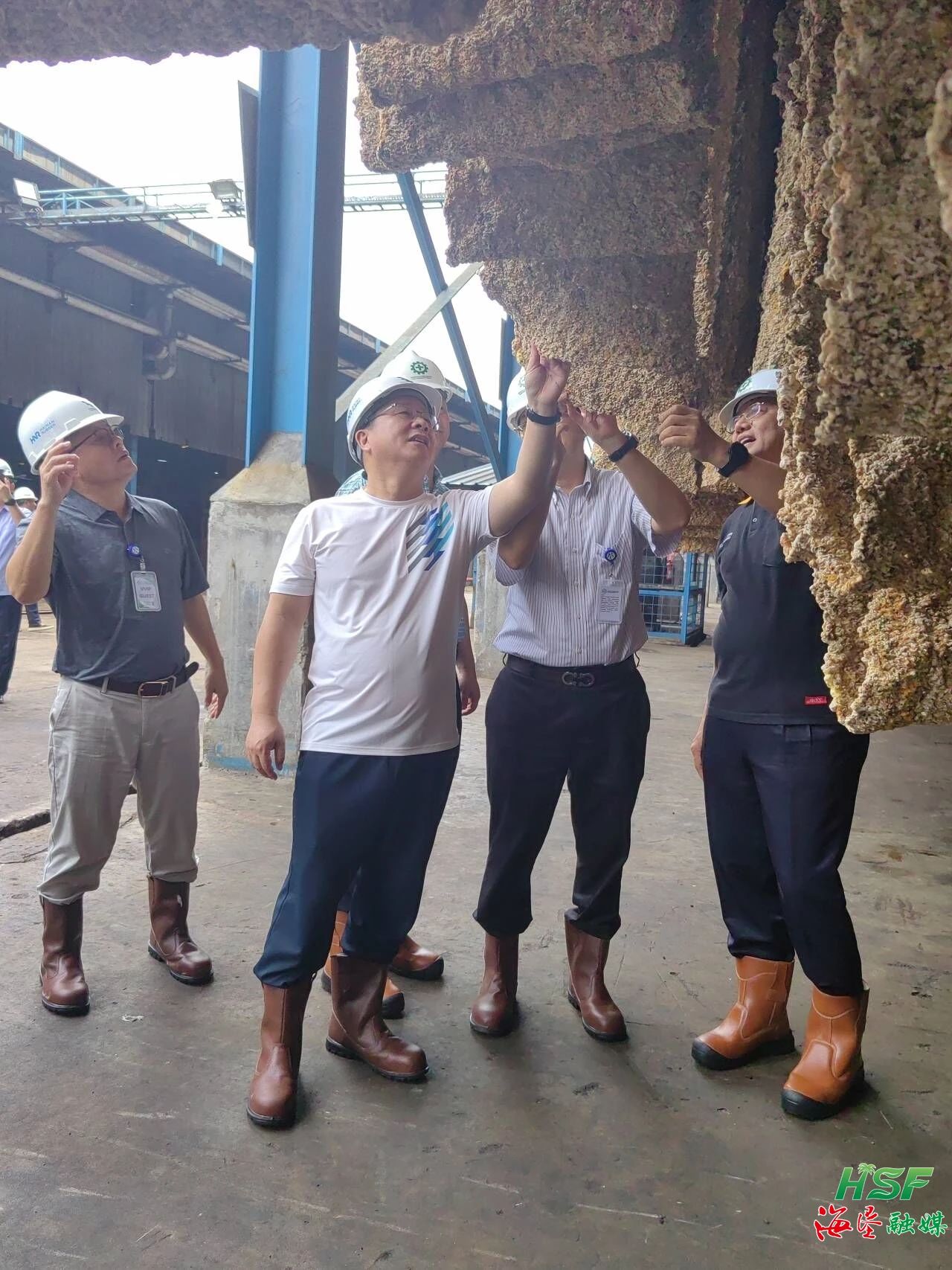 包洪文一行調(diào)研合盛農(nóng)業(yè)SGO加工廠。